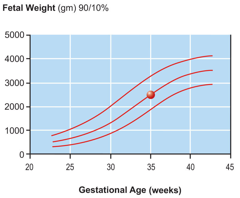 Fetal Growth Chart One